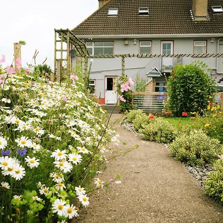 Bed and Breakfast Eagle Heights Инишкрон Экстерьер фото