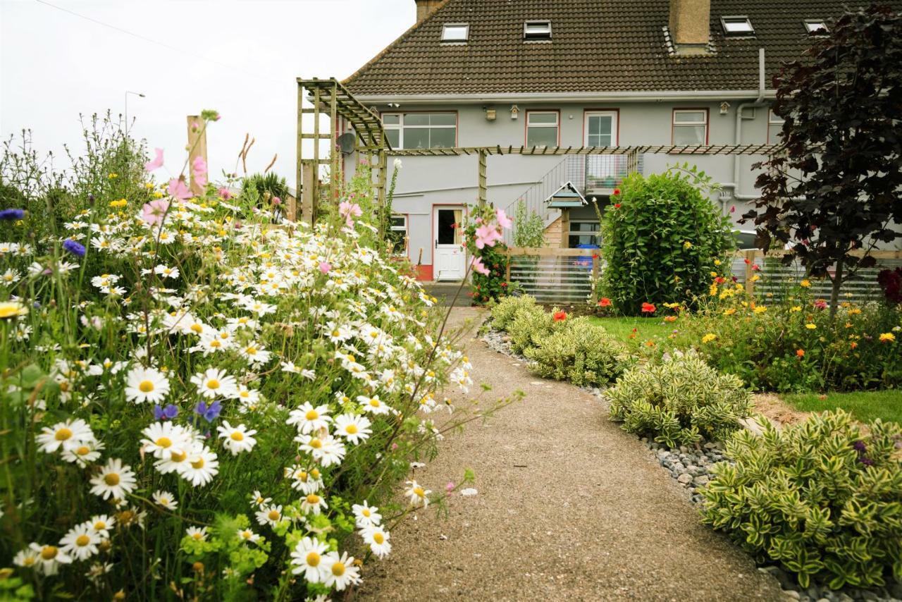 Bed and Breakfast Eagle Heights Инишкрон Экстерьер фото
